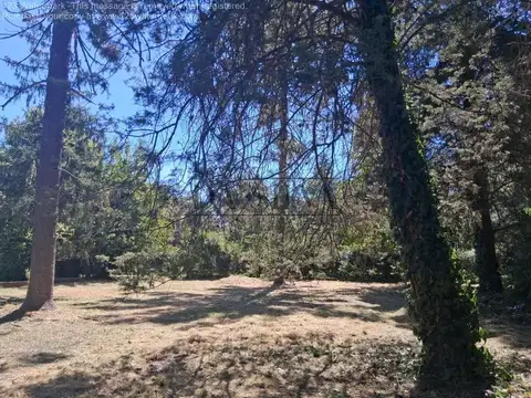 Preciosa Quinta en Marcos Paz. Berardoni y España.