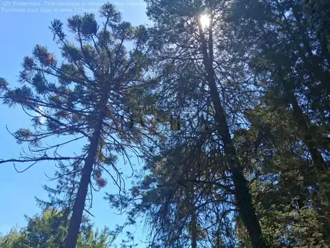 Preciosa Quinta en Marcos Paz. Berardoni y España.