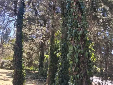 Quinta en Venta en Marcos Paz, USD 140.000