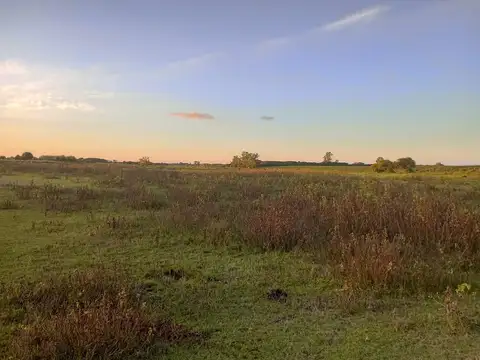 Campo en venta 52,8 hectares en "El Espinillo"