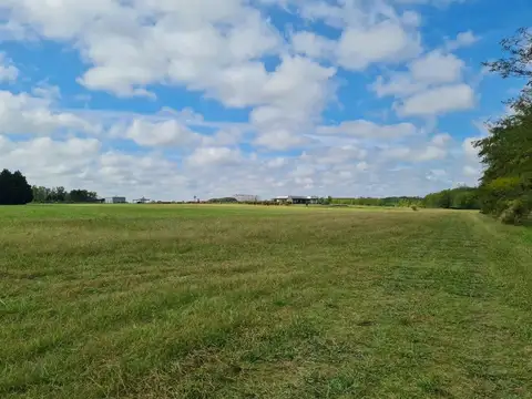 Terreno en Venta de 11000,0 m2