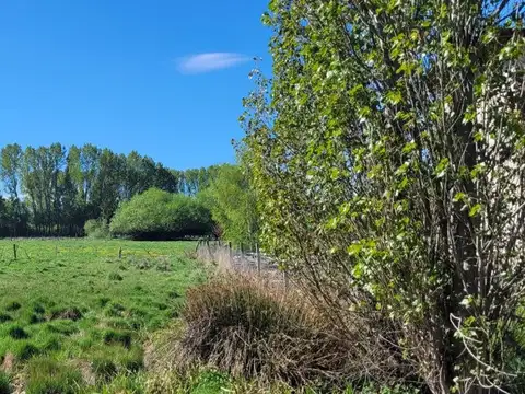 Terreno en Venta de 804,0 m2