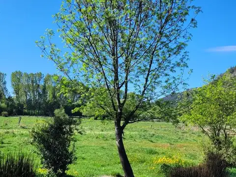 José Hernández 100