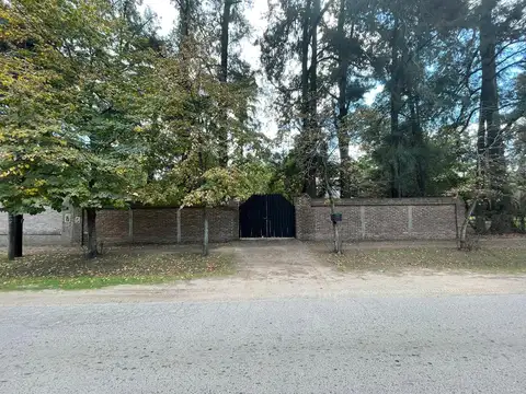 Belisario Roldan al 1700