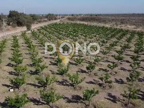 Campo - Venta - Argentina, San Luis