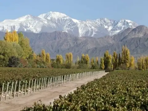 Terreno en Venta en La Consulta, USD 35.000