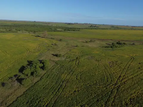 Campo en Venta de 267  ha