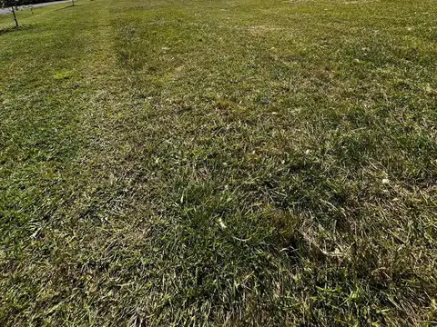 Terreno en Venta 47  mts Frente