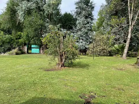 calle Bouchard s/n, 100