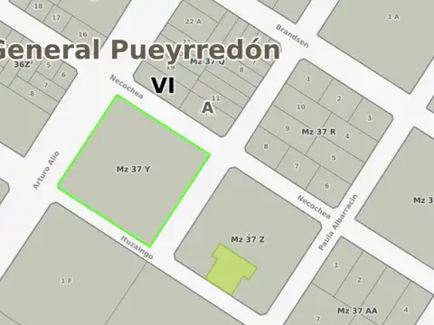 Allio entre Ituzaigo y Necochea