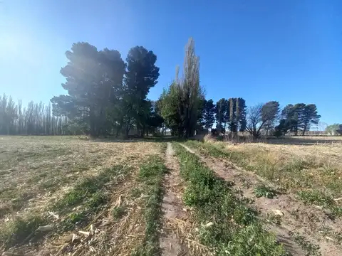 Chacra en  Rio colorado