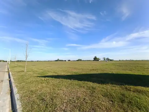 Terreno - Arroyo Seco