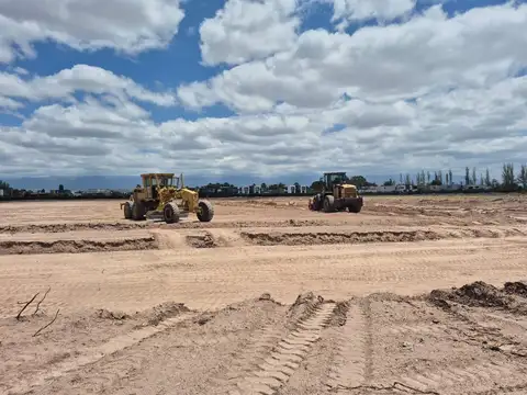Acacias de Palma - Maipú
