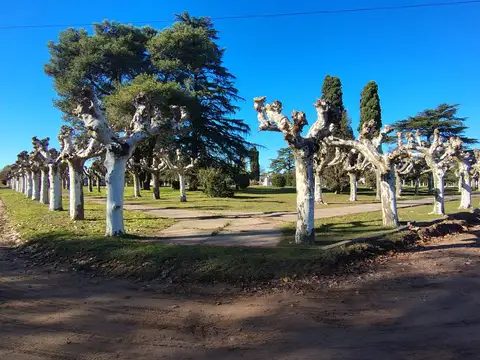 Terreno en Venta en 25 De Mayo, USD 11.000