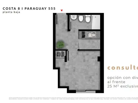 Paraguay 555 PB (Studio Profesional)