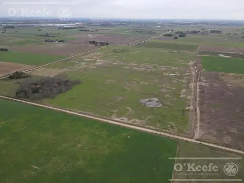 Campo en venta 180 Has agricolas en Cañuelas