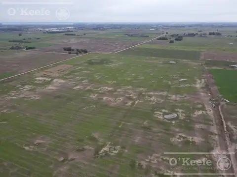 Campo en venta 180 Has agricolas en Cañuelas
