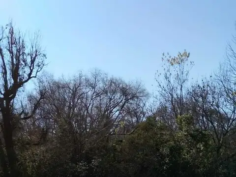 Rio / Arroyo La Barca  Grande 63 ha El Forjador 100