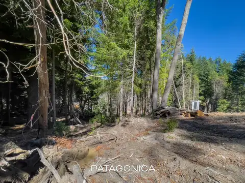 Terreno en Venta 44  mts Frente