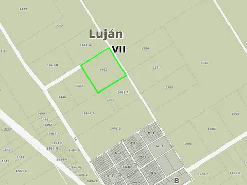 Carlos Pellegrini y Emilio Mitre