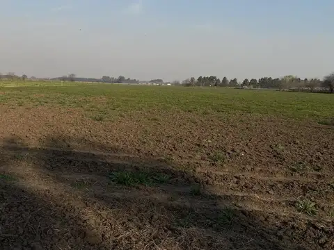 Carlos Pellegrini y Emilio Mitre