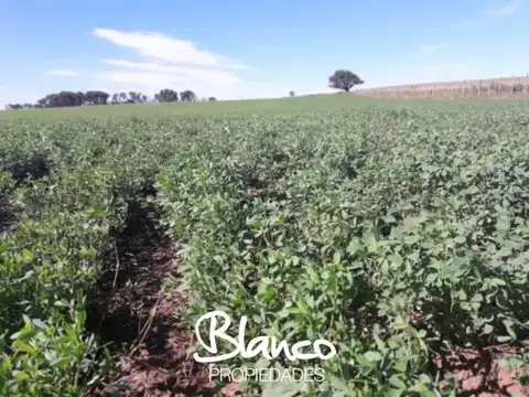 Campo  en Venta en San Luis Capital, San Luis, Argentina