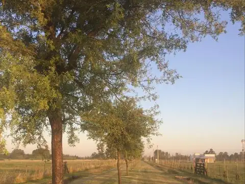 Terreno en Venta en Zapiola, USD 48.000