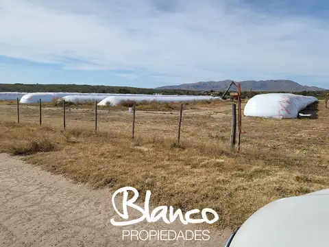 Casa en Venta en Villa Mercedes, USD 1