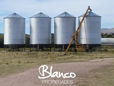 Campo  en Venta en Villa Mercedes, Pedernera, San Luis