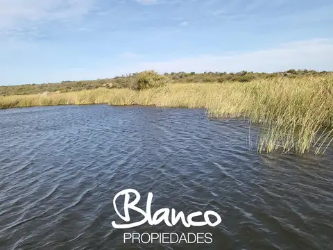 Campo  en Venta en Villa Mercedes, Pedernera, San Luis