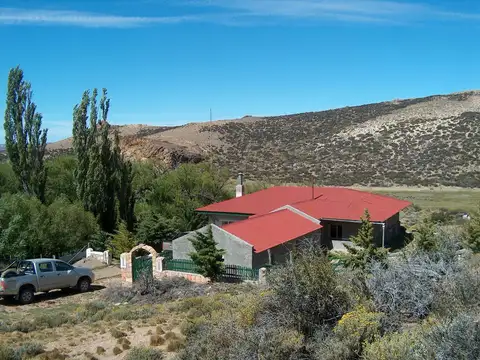 Campo - Gobernador Gregores