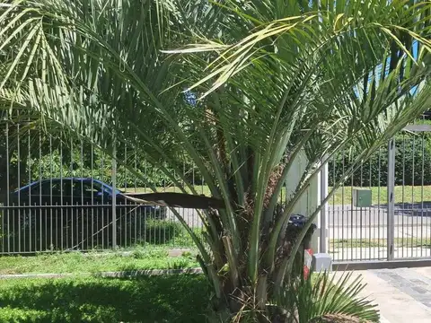 Casa en Alquiler de 3 dormitorios