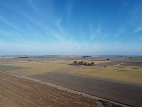 190 Hectareas con excelente productividad -