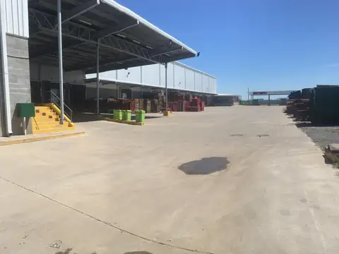 Torcuato Di Tella al 1700