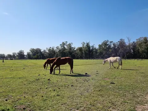 Terreno en Venta en Canning, USD 52.000