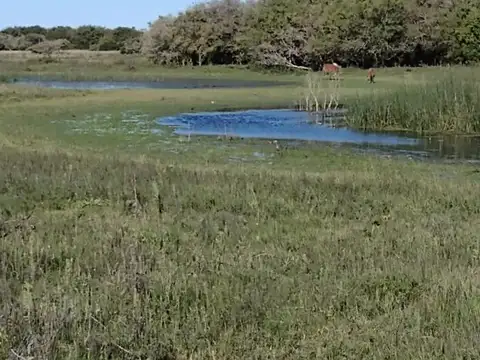 Campo en venta - 101 Hectáreas  - Pinamar