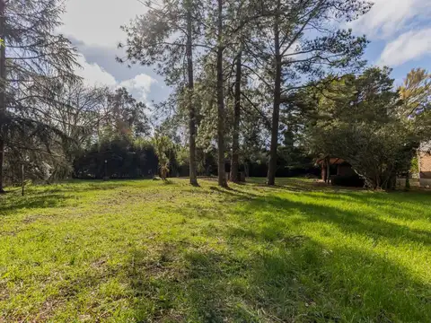 Venta de lote en Villa Elisa