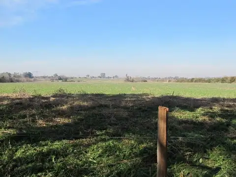 Campo en Venta de 14  ha