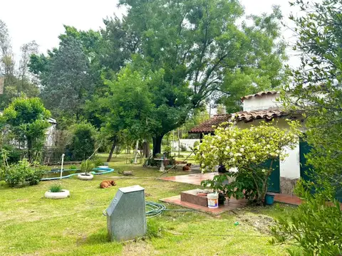 Albert Einstein 2500