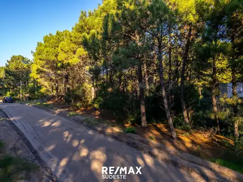 LOTE DE 920 MTS EN PINAR DEL GOLF