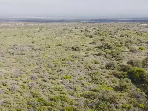 4.18 Hectáreas en Villa Larca SL
