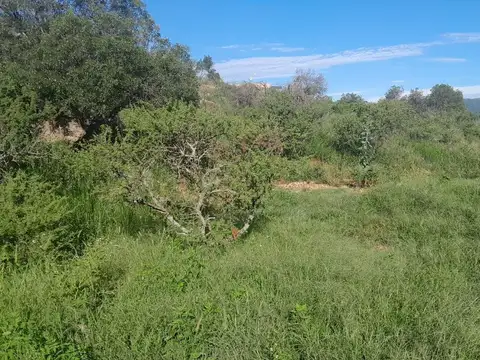 VENTA TERRENO VILLA DEL LAGO