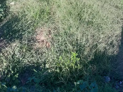 Avenida Pacifico 100