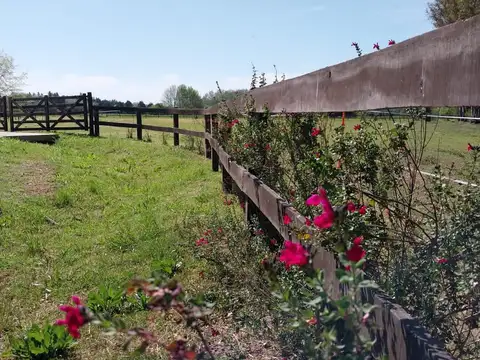 Terreno en Venta de 8402,0 m2