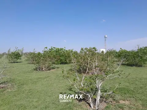 Terreno en Venta en Tornquist, USD 400.000