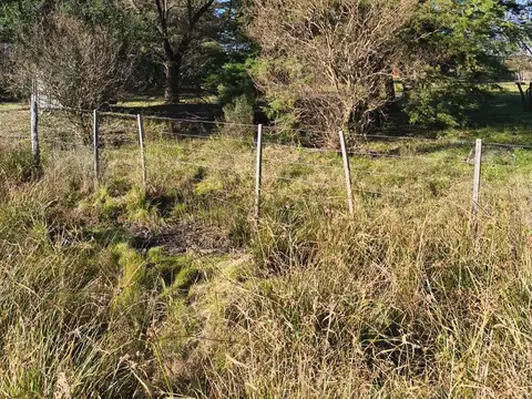 Campo en  Gualeguaychu  sobre colectora de ruta 14