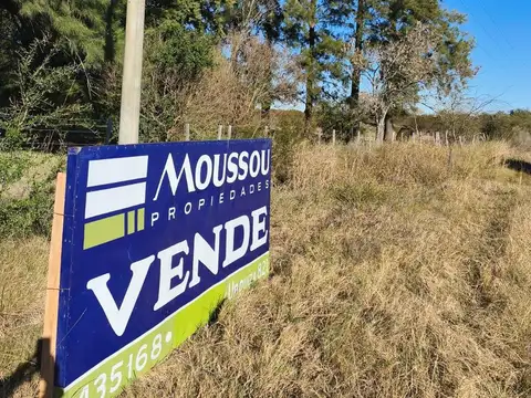 Colectora Ruta 14, entrada a termas Guaychu