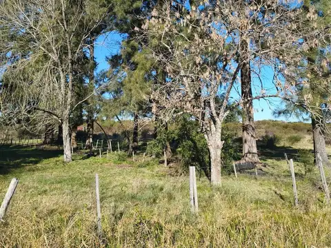 Colectora Ruta 14, entrada a termas Guaychu