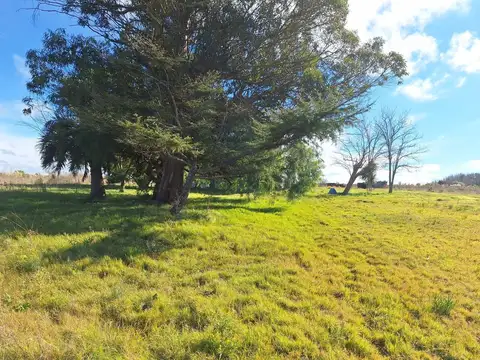 Venta campo 4 Ha 1293 m² con construcción en Pando