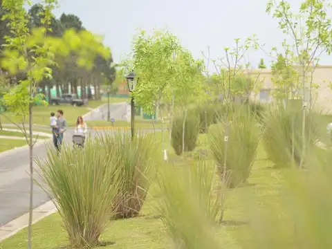 Pilar Del Este- Santa Sofia